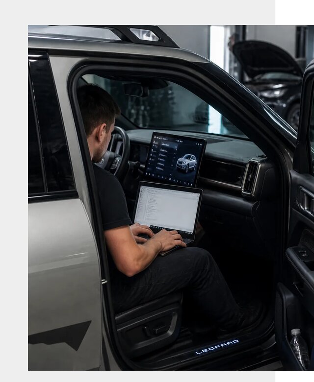 Русификация BYD Leopard 3 в Орске по цене от 20577 р. | ФастМобиль-Рск